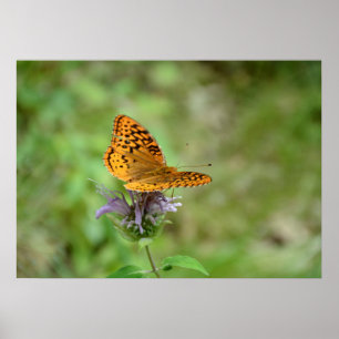 EINS MIT DER NATUR-PLAKAT POSTER