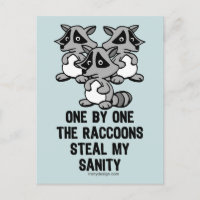 Eins nach dem anderen Raccoons