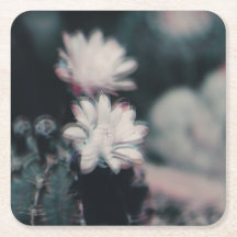 Eins