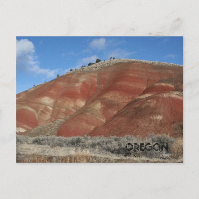 Einsam an der Spitze Postkarte (Vorderseite)