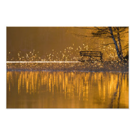 Einsame Bank am See im goldenen Licht Fotodruck