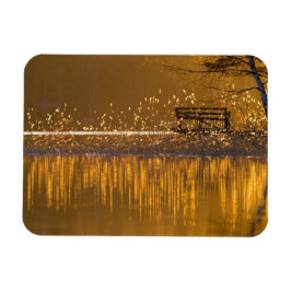 Einsame Bank am See im goldenen Licht Magnet