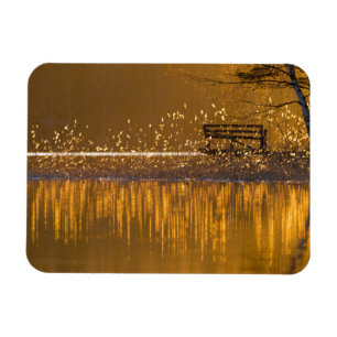 Einsame Bank am See im goldenen Licht Magnet
