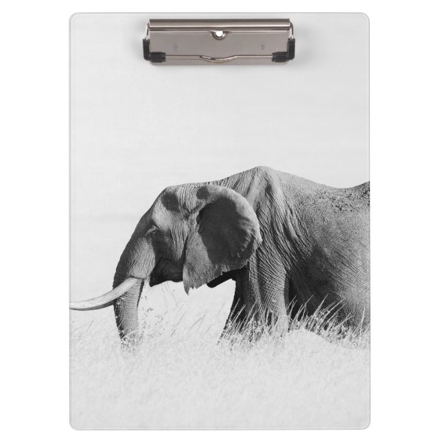 Einsame Elefant (High Key) Klemmbrett (Vorderseite)