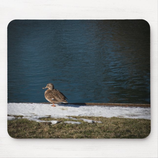 Einsame Ente Mousepad (Vorne)