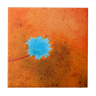 Einsame hellblaue Blume Fliese