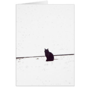 Einsame Katze