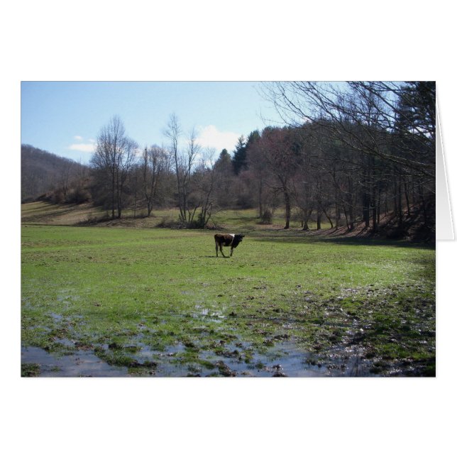 einsame Kuh (Vorderseite (Horizontal))