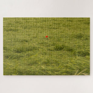 Einsame Mohnblume auf grünem Feld - Sehr schwierig Puzzle