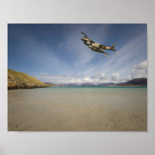 einsame Moskitos" Poster