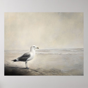 Einsame Möwe am Strand Poster