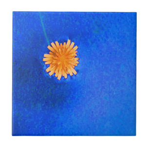 Einsame orangefarbene Blume Fliese