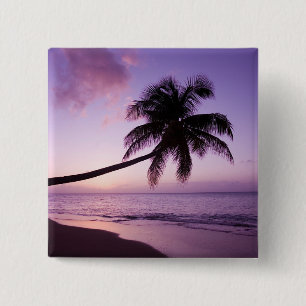 einsame Palme bei Sonnenuntergang, Coconut Grove B Button