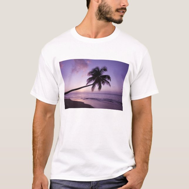 einsame Palme bei Sonnenuntergang, Coconut Grove B T-Shirt (Vorderseite)
