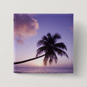 Einsame Palme bei Sonnenuntergang, Coconut Grove S Button