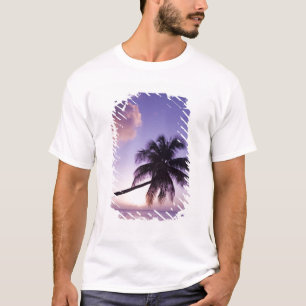 Einsame Palme bei Sonnenuntergang, Coconut Grove S T-Shirt