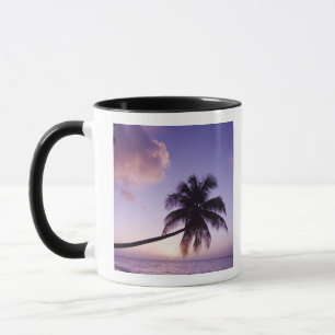 Einsame Palme bei Sonnenuntergang, Coconut Grove S Tasse