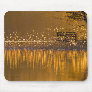 Einsame Sitzbank am See in goldfarbenem Mousepad