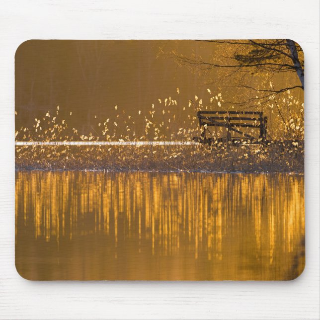Einsame Sitzbank am See in goldfarbenem Mousepad (Vorne)