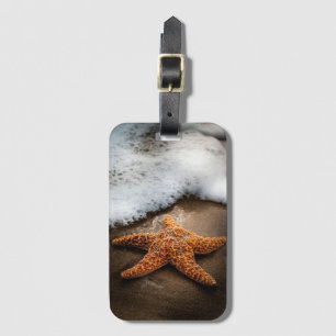 Einsame Starfish auf dem Strand Gepäckanhänger