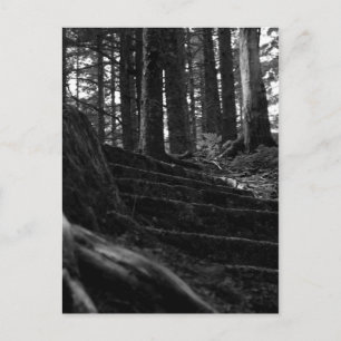 Einsame Treppe Postkarte