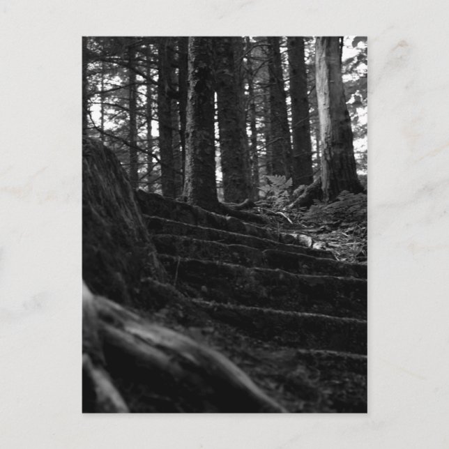 Einsame Treppe Postkarte (Vorderseite)
