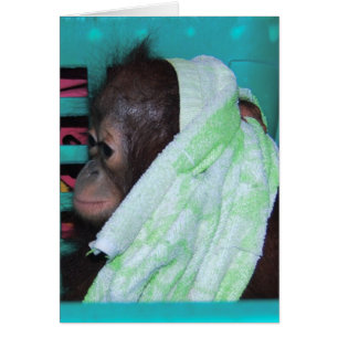 Einsamer Baby-Orang-Utan