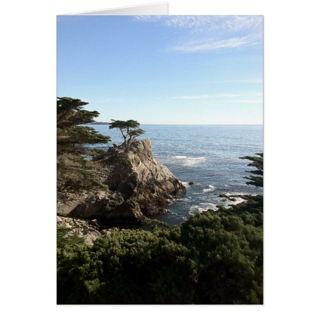 einsamer Baum (Vorne)