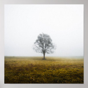 Einsamer Baum an einem nebligen Herbstmorgen Poster