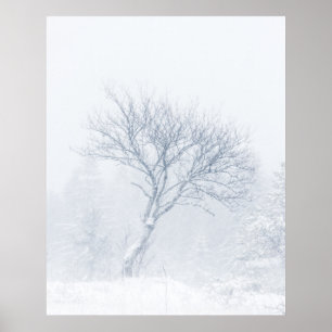 Einsamer Baum bei Schneesturm im Winter Poster