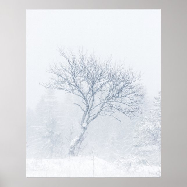 Einsamer Baum bei Schneesturm im Winter Poster (Vorne)