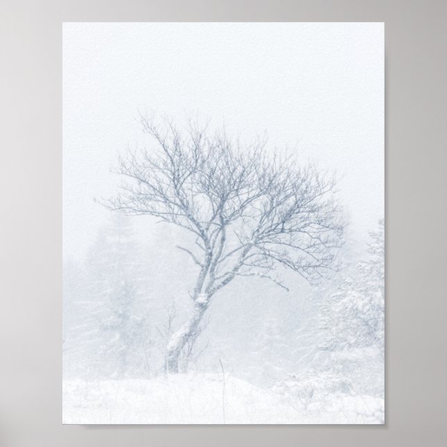 Einsamer Baum bei Schneesturm im Winter Poster (Vorne)