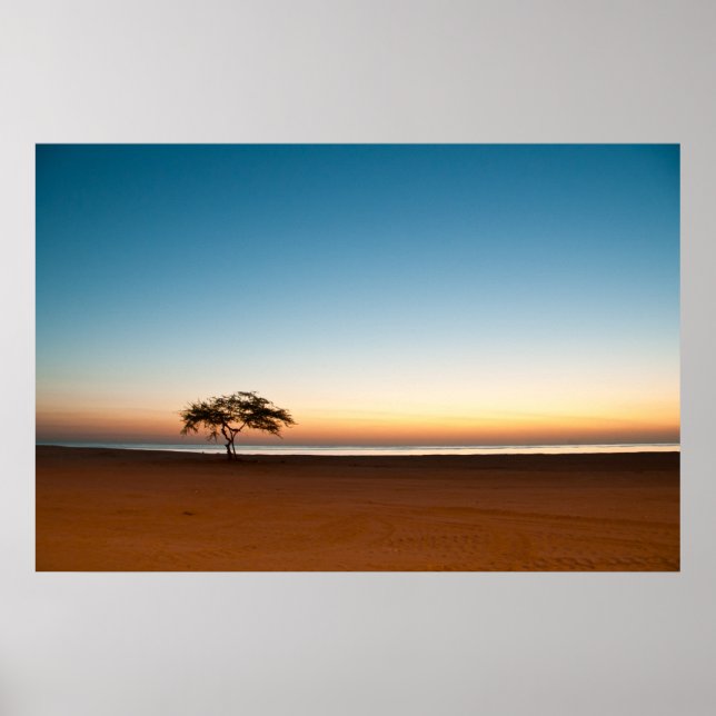 Einsamer Baum bei Sonnenaufgang in Kuwait Poster (Vorne)