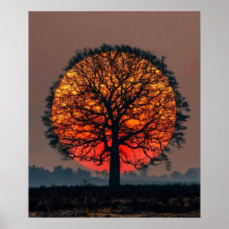 Einsamer Baum bei Sonnenuntergang Poster