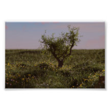 Einsamer Baum