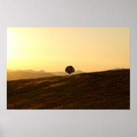 Einsamer Baum im Feld