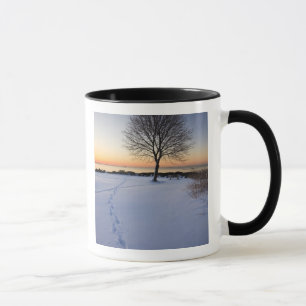 Einsamer Baum im frischen Schnee auf dem New Castl Tasse