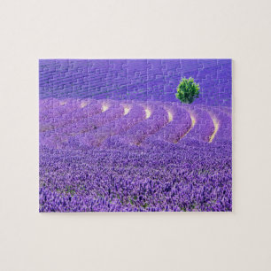 Einsamer Baum im Lavendelfeld, Frankreich Puzzle