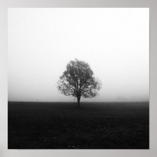 Einsamer Baum im Nebel schwarz weiß Poster
