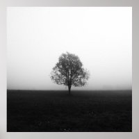 Einsamer Baum in nebelschwarz-weiß