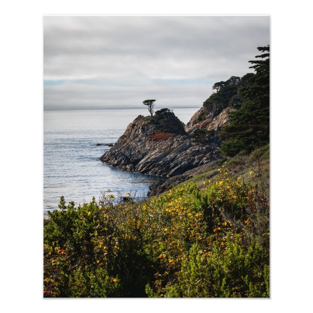 Einsamer Baum in Point Lobos Fotodruck (Vorne)