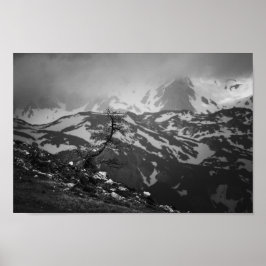 Einsamer Baum mit atemberaubender Aussicht auf die Poster