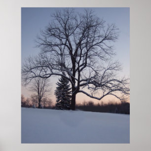 Einsamer Baum Poster