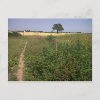 einsamer Baum Postkarte