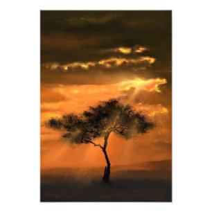 Einsamer Baum Sonnenstrahlen Sonnenuntergang Fotod Fotodruck