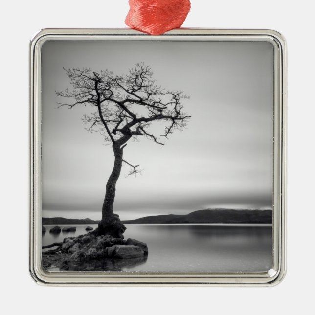 Einsamer bloßer Baum Ornament Aus Metall (Vorne)