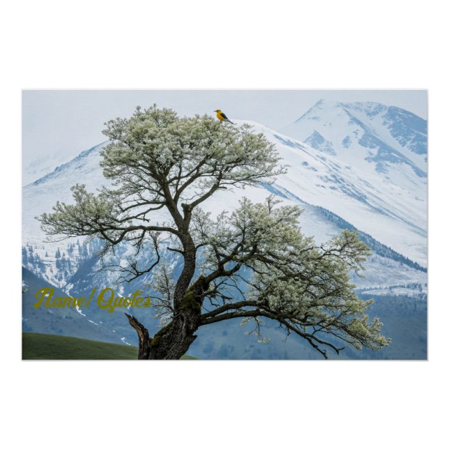 Einsamer blühender Baum und schneebedeckte Berge Poster (Vorderseite)
