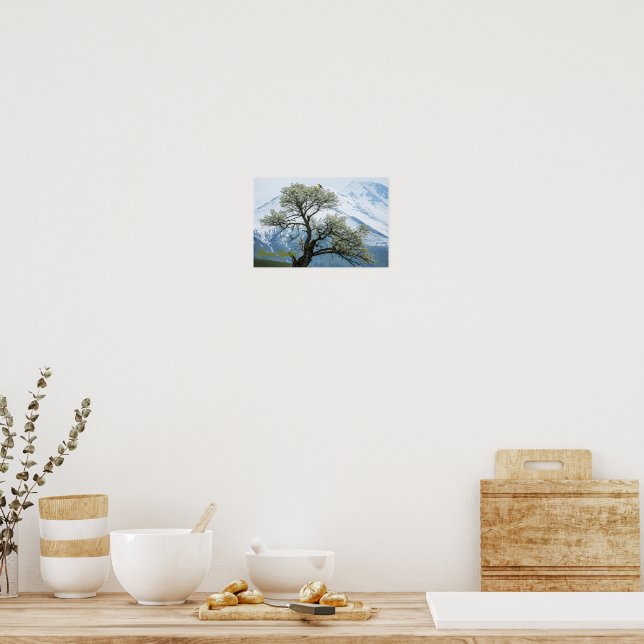 Einsamer blühender Baum und schneebedeckte Berge Poster (Küche)