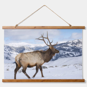 Einsamer Bullenelk   Yellowstone-Nationalpark Wandteppich Mit Holzrahmen