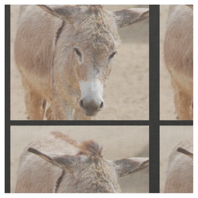 Einsamer Esel Stoff (Nahaufnahme)